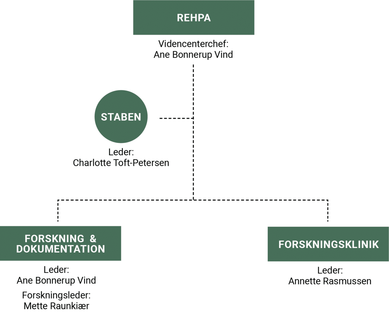 REHPAs organisationsdiagram med Forskning og Dokumentation