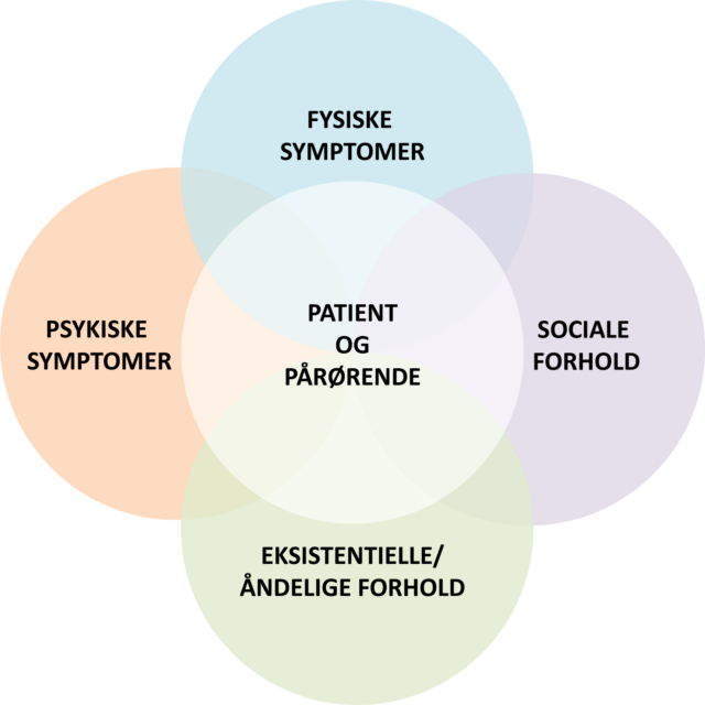 Total pain - den helhedsorienterede palliative indsats, der sigter på at tage hensyn til fire dimensioner, den fysiske, psykiske, sociale og åndelige-eksistentielle dimension, og med den syge og de pårørende i centrum. Ifølge de nationale anbefalinger for den palliative indsats kan begrebet ’palliativ indsats’ illustreres som en blomst med fire blade for dimensionerne kredsende om patienten og de pårørende i midten.